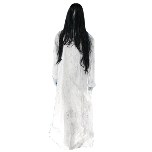 img of target of the game: the ghost